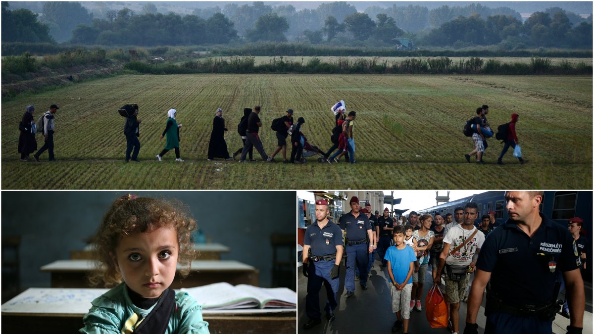 Det finns många myter och osanningar om flyktingkatastrofen. 